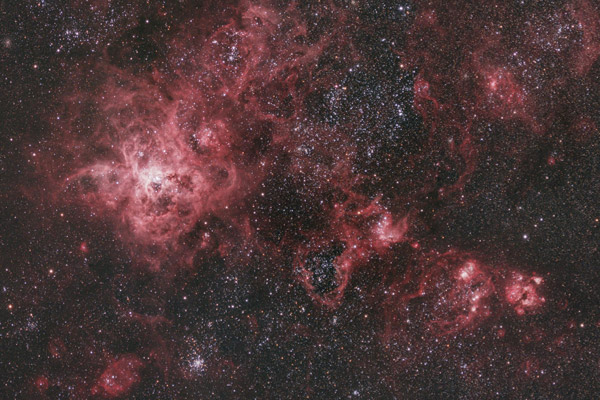 Tarantula Nebula 2x2 mosaic by Will Wilson 2021